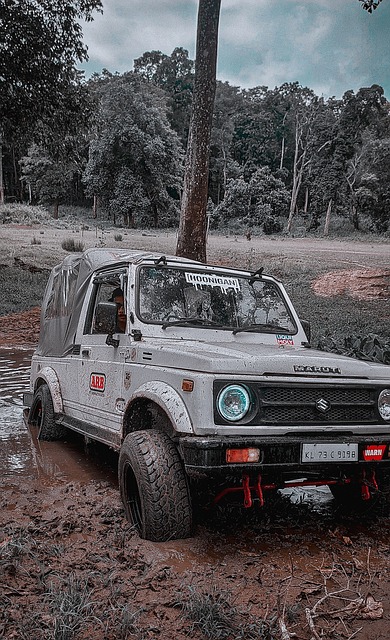 欧冠半场：派尚扳平，格林伍德反超，马赛暂2-1圣吉罗斯